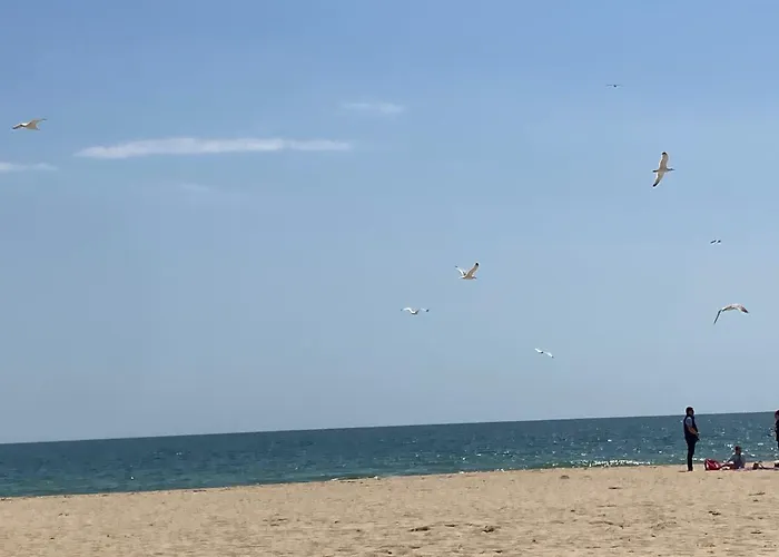 Brymonte Studio, Sunny Day 6 Tŭnkovo